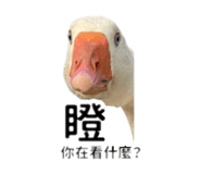 858111963