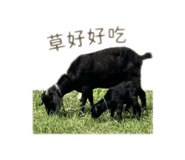 858111964
