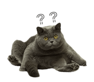 858114618