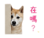 858115292