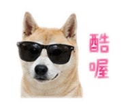 858115303