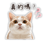 858118789