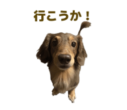 858120242