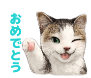 858120777