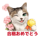 858120781