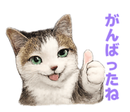 858120784