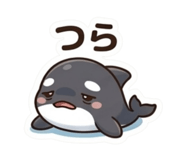 858120880