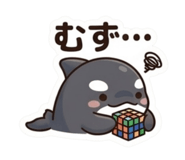 858120884