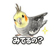 858121430