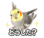 858121433