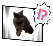 858121819