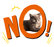 858121821