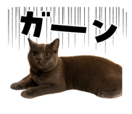858121822