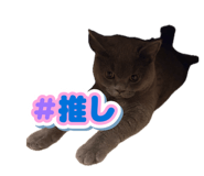 858121823
