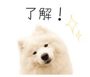 858125010