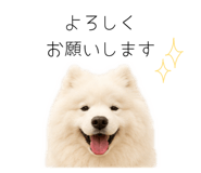 858125012