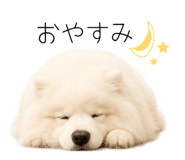 858125014