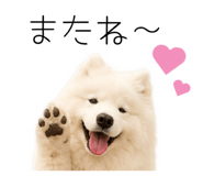 858125015