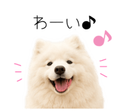 858125019