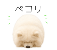 858125020