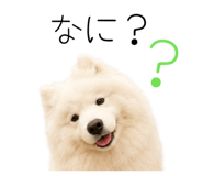 858125021