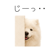 858125023