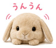 858125206