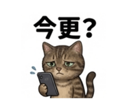 858125306