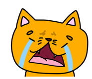 858125508