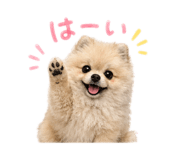 858125525