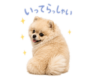 858125538