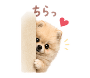 858125543