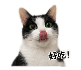858125639