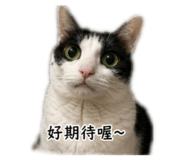 858125645