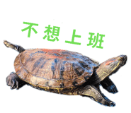 858125685