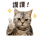 858125739