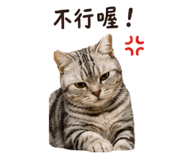 858125742