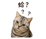 858125743