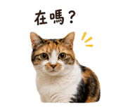 858125745