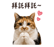 858125748