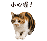 858125751
