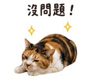 858125752