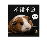 858125900
