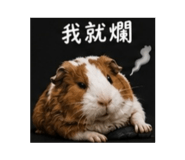 858125902