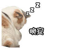 858126022