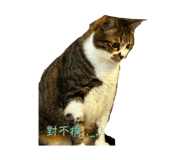 858126029