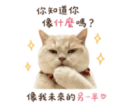 858127050