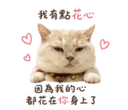 858127051
