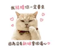 858127054