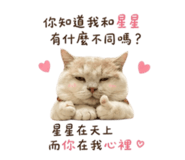 858127056